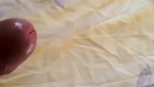 KEDİ bekleyen için sert horoz