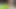 MMD - Tsundere Puppy Alice kick