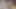 De Bauchery'nin adımları 21 seksi hizmetçi olarak giyiniyor