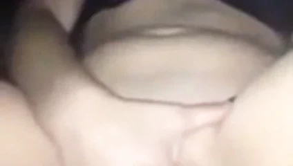 gece kedi oynama