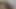 Bir esmer lezbiyen kedi yalama büyük memeler sarışın milf