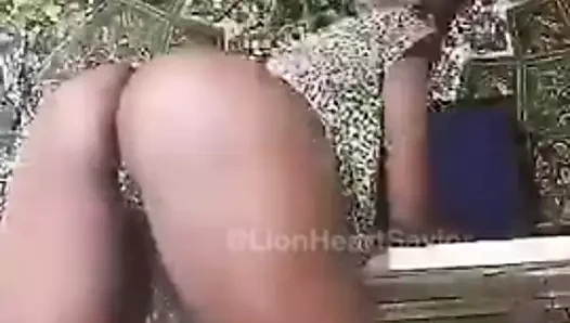 abanoz sürtük sallama göt ve gösterilen KEDİ üzerinde bir anda yoğun ilgi gören