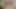 Anita şeritler kapalı bikini ve masturbates ona trimmed kedi