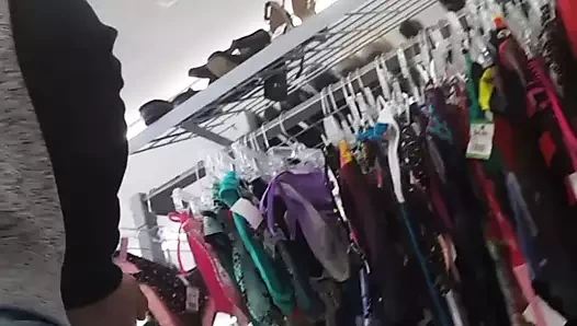 güzel eşek ve ganimet