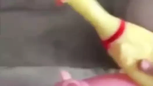 Schweinerei mit einem Huhn :)