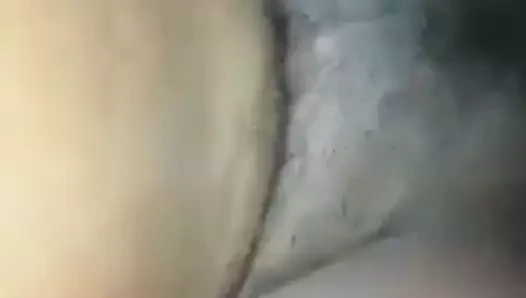 Sri lankalı vergin sıkı kedi