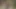sarışın tranny içinde siyah bot alır hakim kadar twinks üzerinde