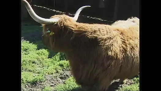 Sadece seks boşa harcayacak zaman yok! - Bölüm 1