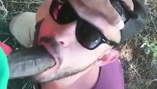 Derin bir boğaz için ormanın derinliklerinde