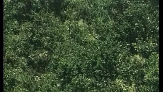 Sie treiben es ueberall Porno Film von 1989