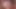 Yaşlı ve genç seksi sarışın minyon kıllı amcık yalıyor
