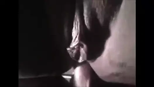 Bbw alır bir sert horoz içinde ona göt ve squirts