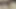 Beyaz kadın kılıklı dani skye büyük zenci yarağıyla sikişiyor