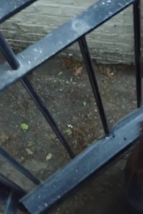 Yüksek topuklu anal zevk!