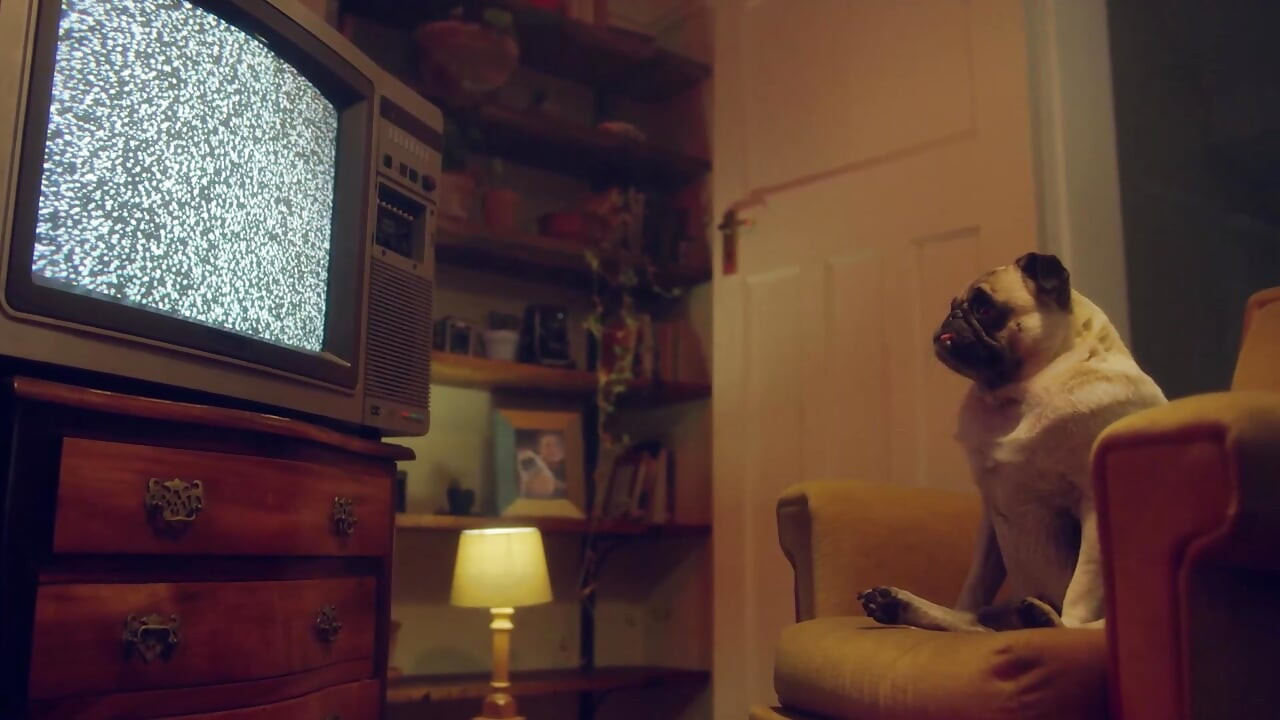 Ateşli lezbiyenler - en sevdikleri oyuncaklarla ve sınırsız vahşi lezbiyen seks - benefit monkey