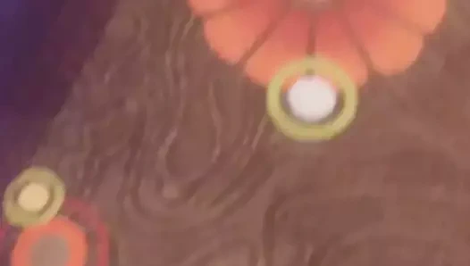 Kumarhanede panti hatları