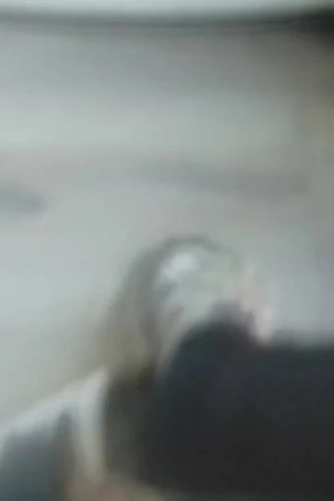 New Clip