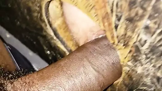 Eyersiz zafer deliği Creampie