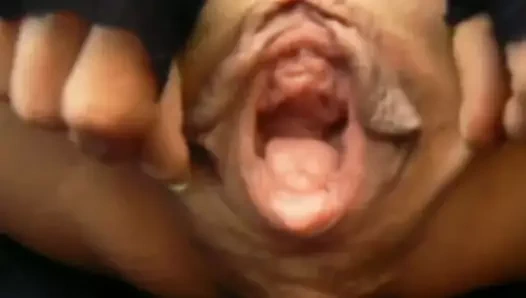 sürünen bir kedi benim favori yaymak326