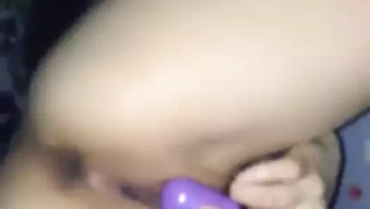 Japon dik civciv itibaren arka