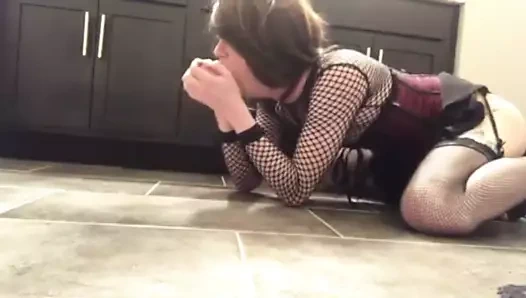 Oyun 2'de sevimli kedicik