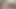 domuz bağlı ve alay ile titreşen anal plug