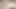 Kori ıslak 3d hentai - kovboy kız biniyor, bakış açısı misyoner sıkı amcık, sansürsüz animasyonda duvarda anal dölleme