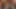 Sarah Arabic: penis pozitifliği, tumblr pornosu ve öfke yemini - yetişkin zamanı podcast'i