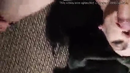 kendini adamış ibne