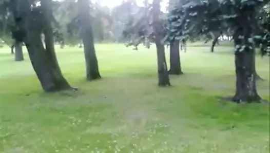 Çim ve ağaçların üzerinde görünmez sıçrama tahtası