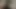 Ayı saldırısı!