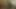 Roxanne'in arka kapı teslimatı