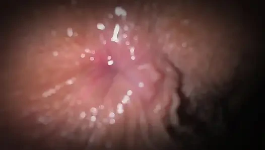 HOT VIBE: Norveç'e öğrenci gezisi. Ateşin yanında orman çadırında bir gece