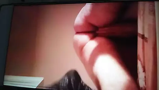 Video integrale pecorina