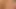 Jenna bir porno yıldızı olarak