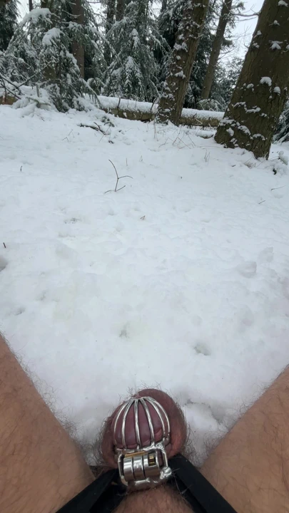 Kar işeme bekaret kafesi