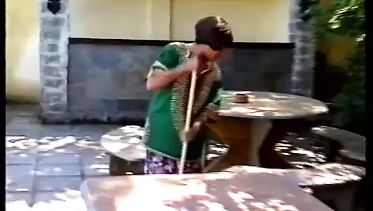 Analitas rasierte Pflaume (90s)