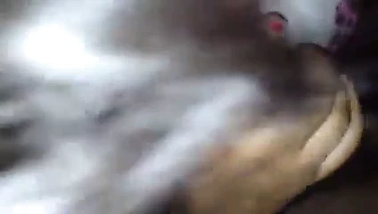 Bbw abanoz eş emme horoz