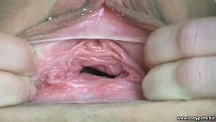 Yakın çekim amcık