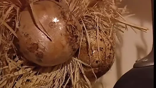 Genç bebek mutfak tezgahında çarptım