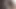 Privateblack - kıvrımlı anna polina ağız ve bbc tarafından becerdin kedi