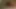 Sikişmek ve emmek, tombul kızla doggystyle, asyalı seks, çift sikişmek