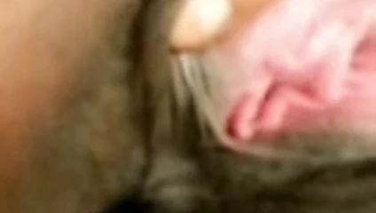 Bgirls dik kedi gerek büyük horoz