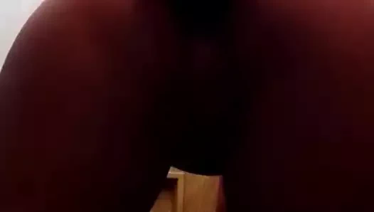 amatör abanoz köpek