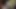 Hintli kadın Nirmala üvey erkek kardeşiyle sert seks yapıyor