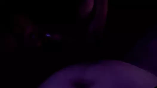 Büyük siyah baştankara fransız kaltak