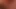 png taze 4