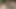 Açık havada Asyalı güzeller birlikte seksi grup sakso sahneleri veriyor
