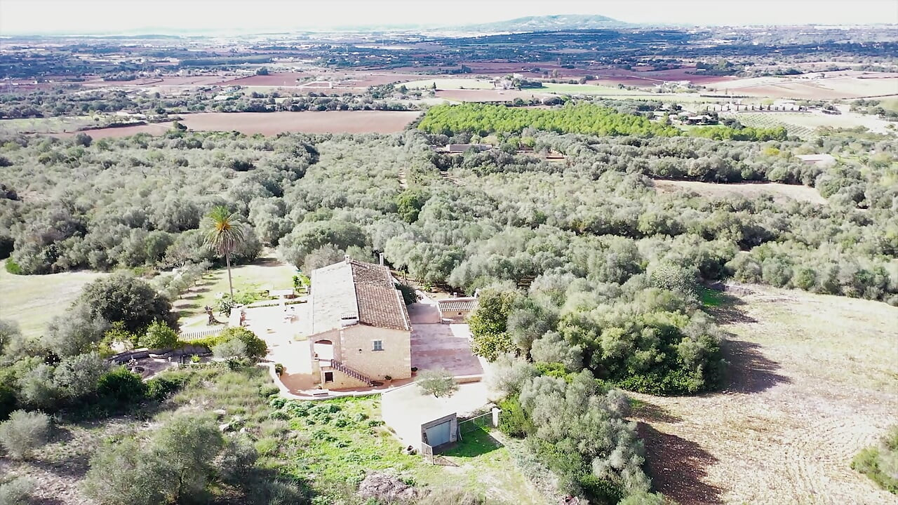 Azgın sürtükler Vacation_4k daha iyi sikişiyor