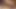 Yüksek topuklu esmer travesti adamın her yerine boşalıyor